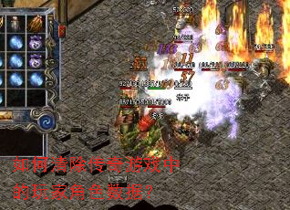 如何清除传奇游戏中的玩家角色数据? 如何清除传奇游戏中的玩家角色数据?