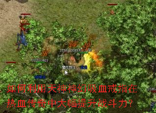 如何利用天神神幻吸血戒指在热血传奇中大幅提升战斗力? 如何利用天神神幻吸血戒指在热血传奇中大幅提升战斗力?