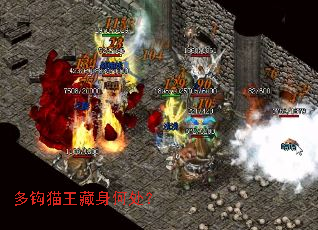 多钩猫王藏身何处? 多钩猫王藏身何处?