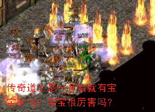 传奇道士是一开始就有宝宝的吗?宝宝很厉害吗? 传奇道士是一开始就有宝宝的吗?宝宝很厉害吗?