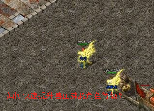 如何快速提升兽血沸腾角色等级? 如何快速提升兽血沸腾角色等级?