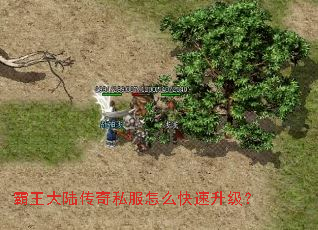 霸王大陆传奇私服怎么快速升级? 霸王大陆传奇私服怎么快速升级?