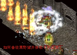 如何击败黑野猪并获取十把武器? 如何击败黑野猪并获取十把武器?