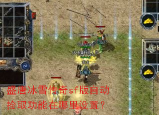 盛唐冰雪传奇sf版自动捡取功能在哪里设置? 盛唐冰雪传奇sf版自动捡取功能在哪里设置?