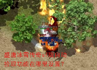 盛唐冰雪传奇sf版自动捡取功能在哪里设置? 盛唐冰雪传奇sf版自动捡取功能在哪里设置?