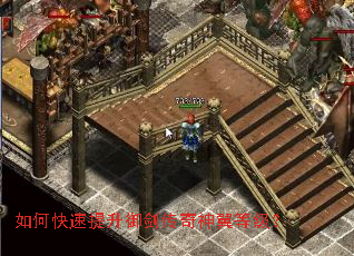 ��ο��������������������ȼ���