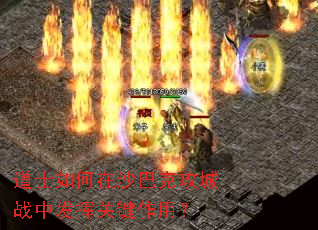 ��ʿ�����ɳ�Ϳ˹���ս�з��ӹؼ����ã�