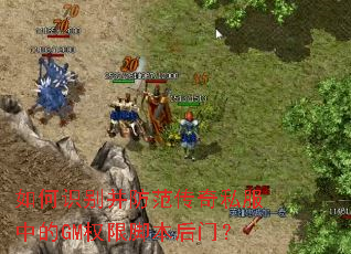 ���ʶ�𲢷�������˽���е�GMȨ�޽ű����ţ�