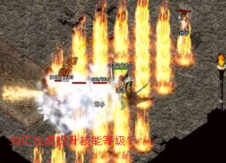 ��ο����������ܵȼ���