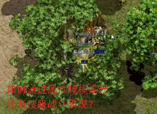如何通过属性转移提升传奇搜服战斗表现? 如何通过属性转移提升传奇搜服战斗表现?