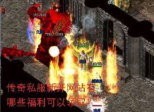 ����˽���¿���վ����Щ����������ȡ��