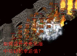 �����������˽��������������ֵ��