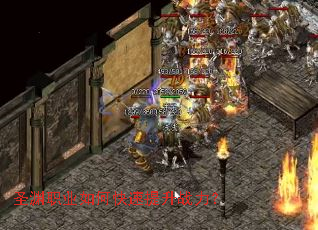 ʥԨְҵ��ο�������ս����