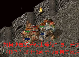 如何快速提升战士等级?法师升级有哪些技巧?道士低级阶段如何高效冲级? 如何快速提升战士等级?法师升级有哪些技巧?道士低级阶段如何高效冲级?