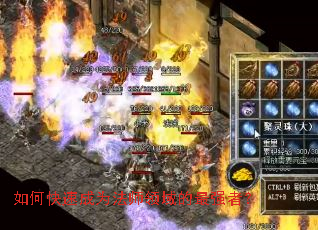 ��ο��ٳ�Ϊ��ʦ�������ǿ�ߣ�