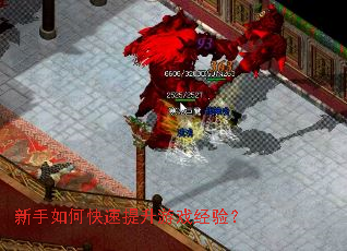 ������ο���������Ϸ���飿