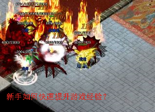 ������ο���������Ϸ���飿