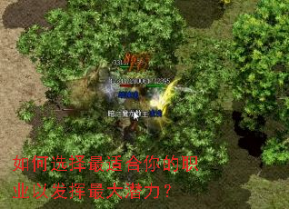 如何选择最适合你的职业以发挥最大潜力? 如何选择最适合你的职业以发挥最大潜力?