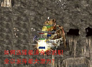 如何选择最适合你的职业以发挥最大潜力? 如何选择最适合你的职业以发挥最大潜力?