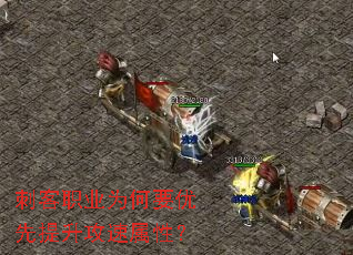 �̿�ְҵΪ��Ҫ���������������ԣ�