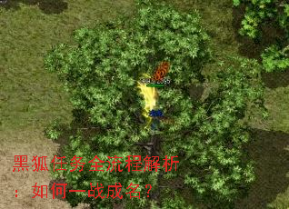 黑狐任务全流程解析:如何一战成名? 黑狐任务全流程解析:如何一战成名?