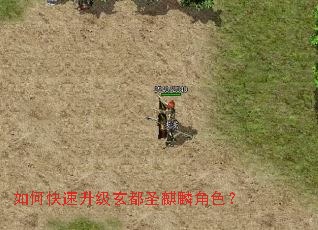 ��ο�����������ʥ�����ɫ��