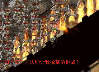 ���Ӧ��Ū��ʦ���ҵ�������ս��