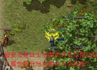 ���䴫��սʿ�������ʯ���ѡ��������������似��ȫ������