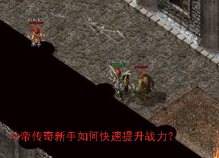 ���۴���������ο�������ս����