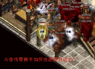 ���۴���������ο�������ս����