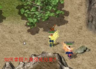 ������վ���ǿ�����ܣ�