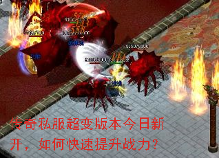 ����˽������汾�����¿�����ο�������ս����