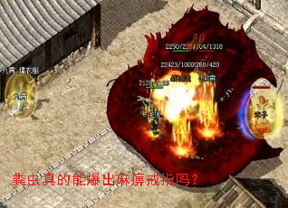 粪虫真的能爆出麻痹戒指吗? 粪虫真的能爆出麻痹戒指吗?