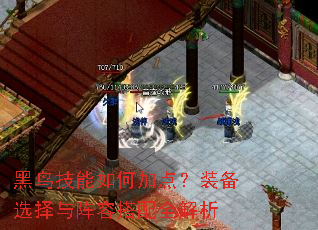 黑鸟技能如何加点?装备选择与阵容搭配全解析 黑鸟技能如何加点?装备选择与阵容搭配全解析