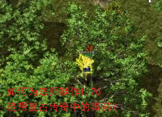 如何为法师制作1.76追想复古传奇中的毒药? 如何为法师制作1.76追想复古传奇中的毒药?