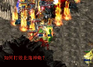 如何打败北海神龟? 如何打败北海神龟?