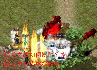 猎龙之战如何制胜?揭秘龙之狩猎终极攻略 猎龙之战如何制胜?揭秘龙之狩猎终极攻略