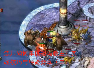 ��ʦ��ε������������ʵս�����뾭�����������