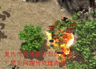 复古传奇未验证怎么解决?常见问题与处理办法 复古传奇未验证怎么解决?常见问题与处理办法