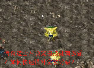 传奇道士召唤宠物技能有多强?如何快速提升宠物等级? 传奇道士召唤宠物技能有多强?如何快速提升宠物等级?