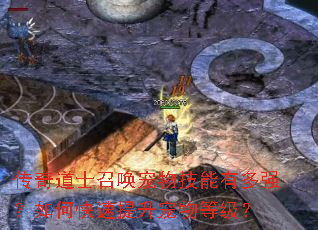 传奇道士召唤宠物技能有多强?如何快速提升宠物等级? 传奇道士召唤宠物技能有多强?如何快速提升宠物等级?