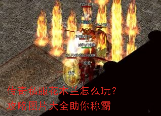 ����˽����ľ����ô�棿����ͼƬ��ȫ����ư�