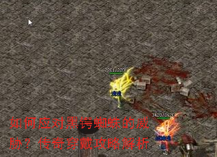 ���Ӧ�Ժ���֩�����в�����洩�����Խ���