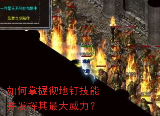 ������ճ��ض����ܲ����������������