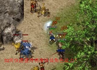 ��ο���������ҹ���ɽ�ɫս����