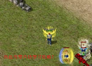 ��Ѫ�����ڹ�ѧϰ���ԣ�