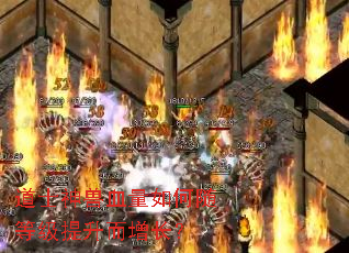 道士神兽血量如何随等级提升而增长? 道士神兽血量如何随等级提升而增长?