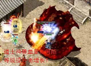 道士神兽血量如何随等级提升而增长? 道士神兽血量如何随等级提升而增长?