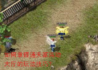 �������ͨ��׭��������淨���ɣ�