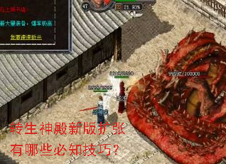 ת������°���������Щ��֪���ɣ�